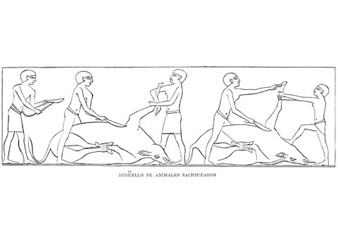 Ancient Egyptian Depiction Of Animal Sacrifice Coloring Page